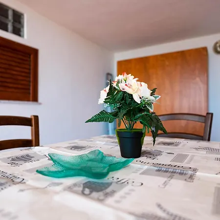 Malamuri 4 Sun Vacanze Apartmán *
